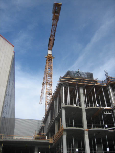 crane