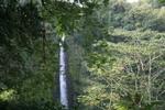 Wednesday: Akaka Falls
